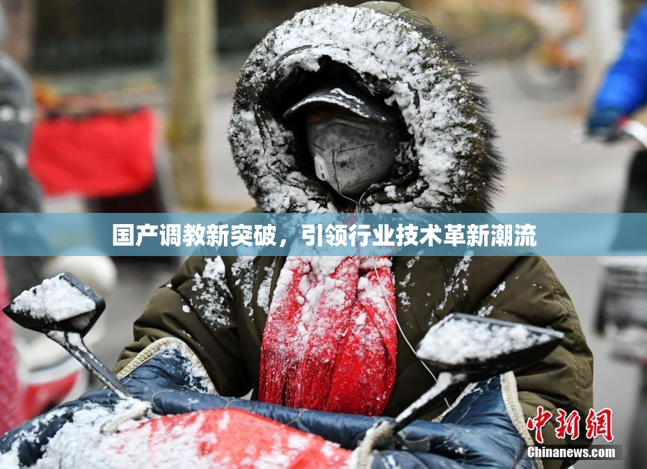 国产调教新突破，引领行业技术革新潮流