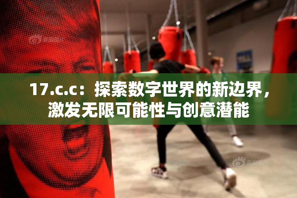 17.c.c：探索数字世界的新边界，激发无限可能性与创意潜能