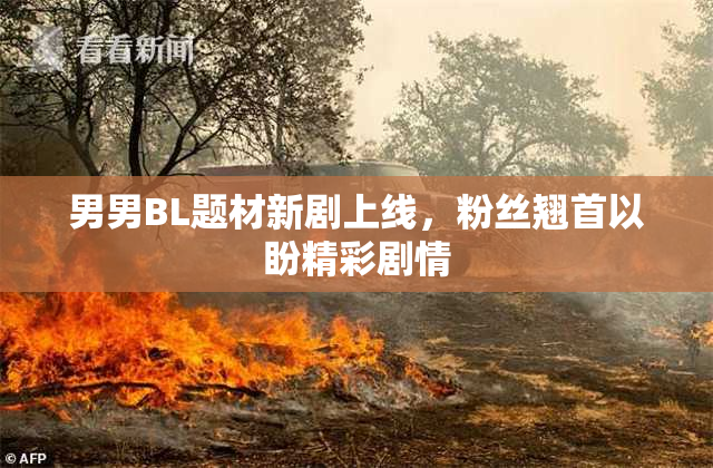 男男BL题材新剧上线，粉丝翘首以盼精彩剧情