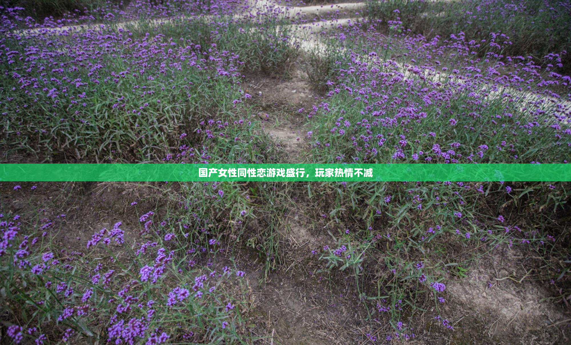 国产女性同性恋游戏盛行，玩家热情不减