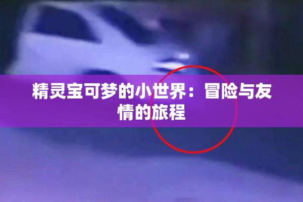 精灵宝可梦的小世界：冒险与友情的旅程