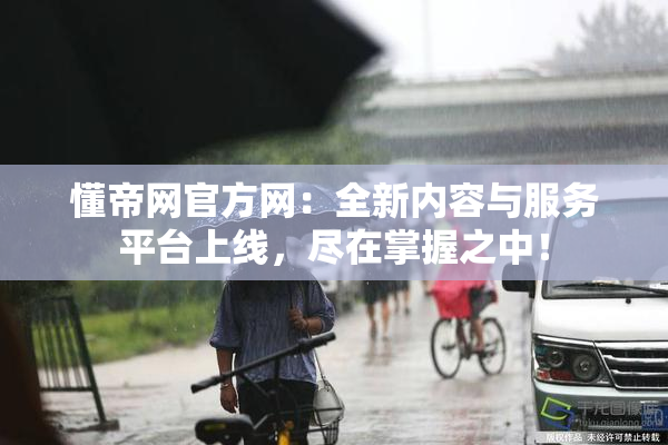 懂帝网官方网：全新内容与服务平台上线，尽在掌握之中！