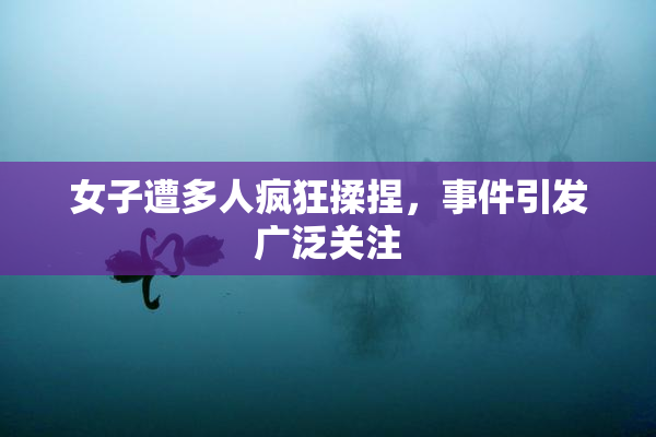 女子遭多人疯狂揉捏，事件引发广泛关注