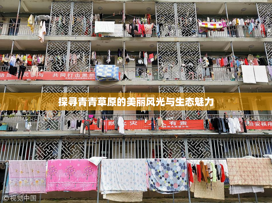 探寻青青草原的美丽风光与生态魅力