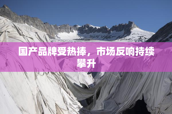 国产品牌受热捧，市场反响持续攀升