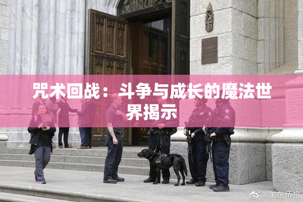 咒术回战：斗争与成长的魔法世界揭示