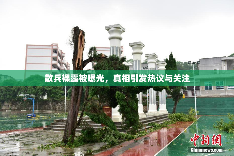 散兵裸露被曝光，真相引发热议与关注