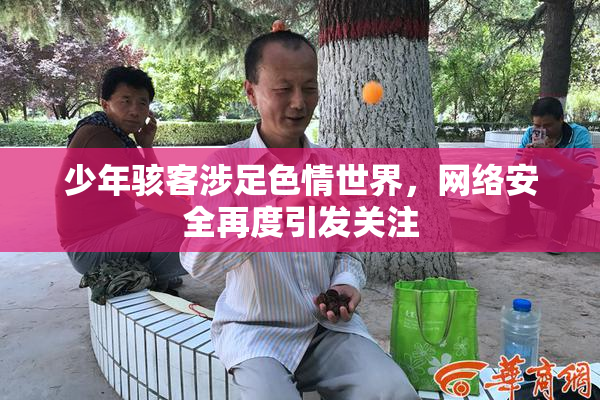 少年骇客涉足色情世界，网络安全再度引发关注
