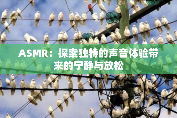 ASMR：探索独特的声音体验带来的宁静与放松
