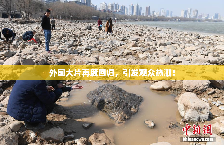 外国大片再度回归，引发观众热潮！