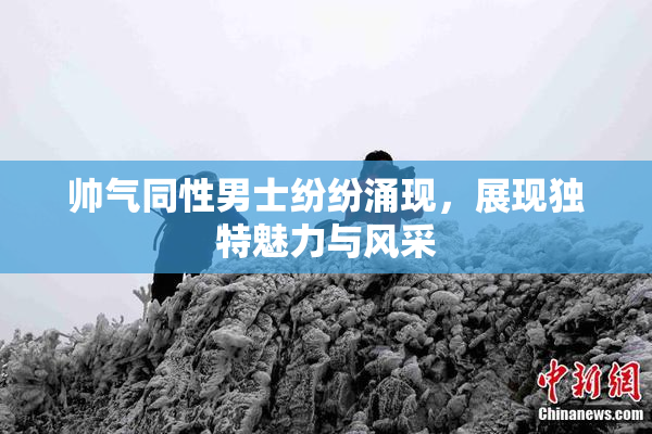 帅气同性男士纷纷涌现，展现独特魅力与风采