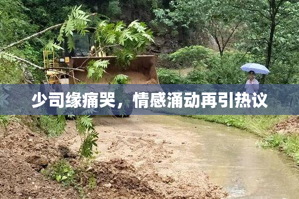 少司缘痛哭，情感涌动再引热议