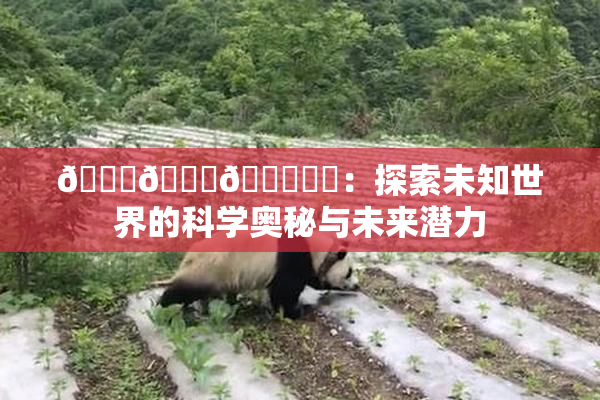 🍆🍑🔞❌‌：探索未知世界的科学奥秘与未来潜力