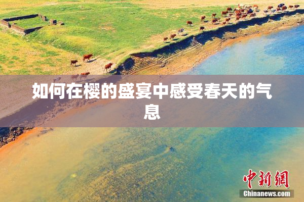 如何在樱的盛宴中感受春天的气息