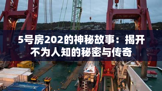 5号房202的神秘故事：揭开不为人知的秘密与传奇