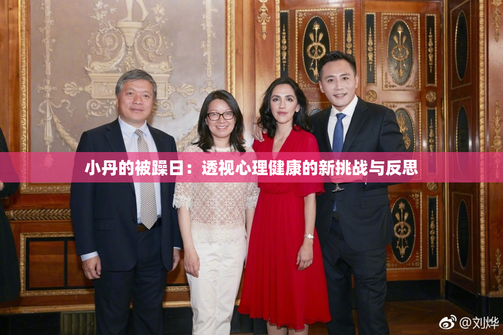 小丹的被躁日：透视心理健康的新挑战与反思