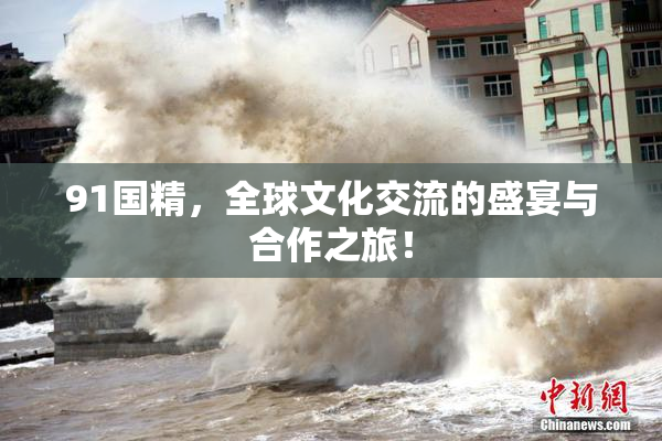 91国精，全球文化交流的盛宴与合作之旅！