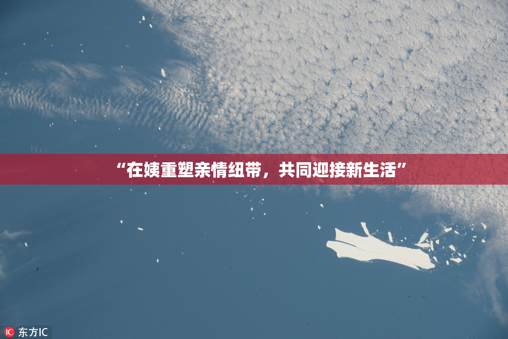 “在姨重塑亲情纽带，共同迎接新生活”