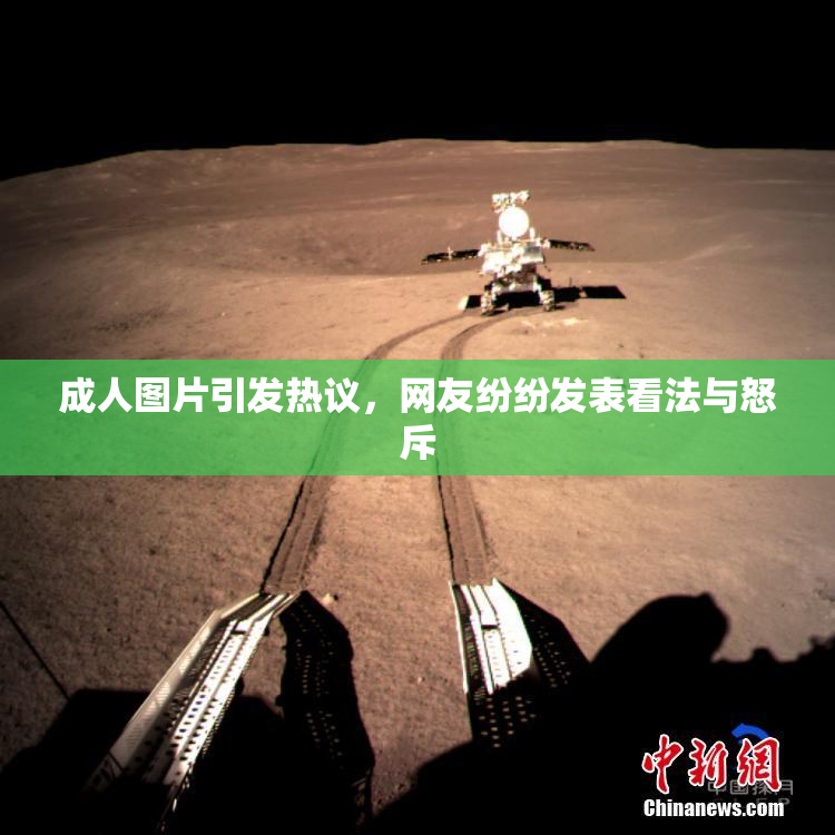 成人图片引发热议，网友纷纷发表看法与怒斥