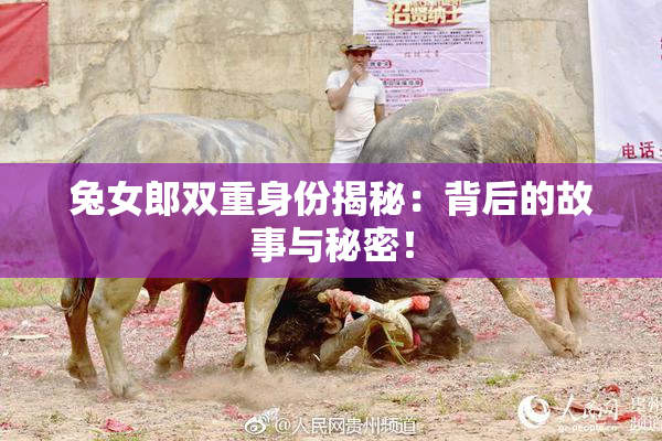 兔女郎双重身份揭秘：背后的故事与秘密！