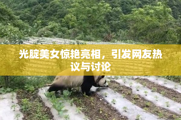 光腚美女惊艳亮相，引发网友热议与讨论