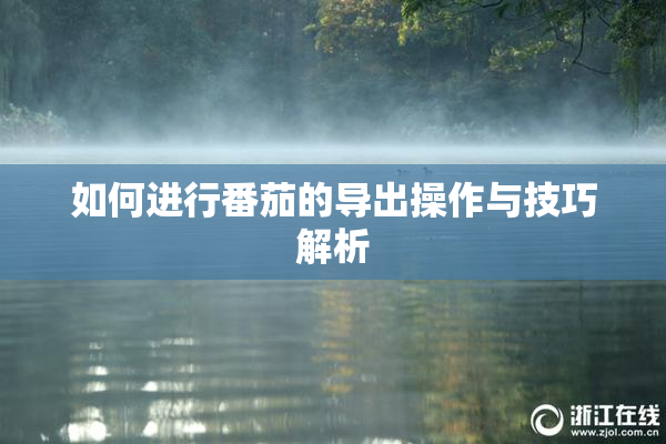 如何进行番茄的导出操作与技巧解析