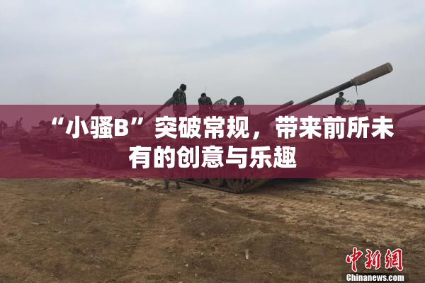 “小骚B”突破常规，带来前所未有的创意与乐趣