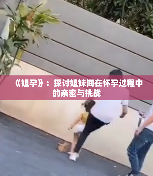 《姐孕》：探讨姐妹间在怀孕过程中的亲密与挑战