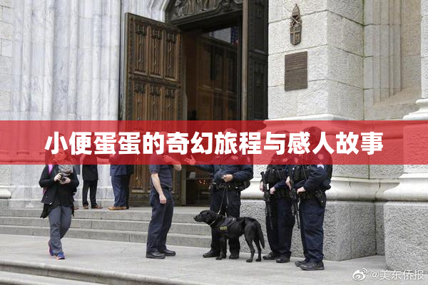 小便蛋蛋的奇幻旅程与感人故事
