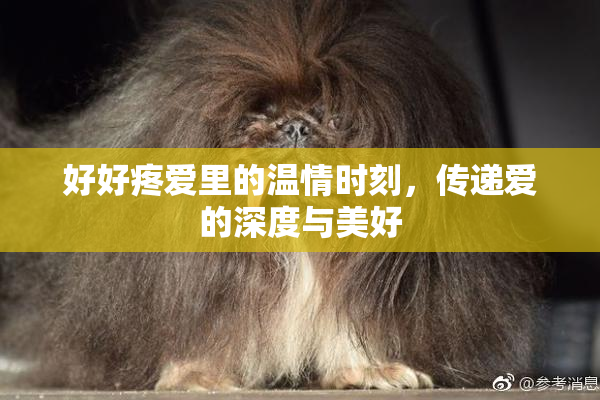 好好疼爱里的温情时刻，传递爱的深度与美好