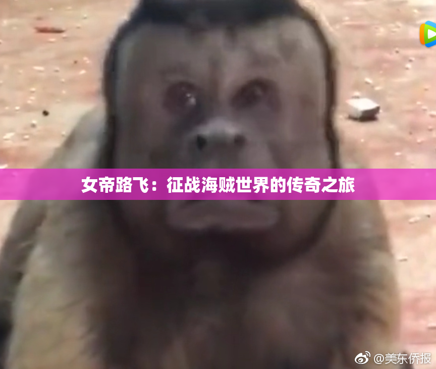 女帝路飞：征战海贼世界的传奇之旅