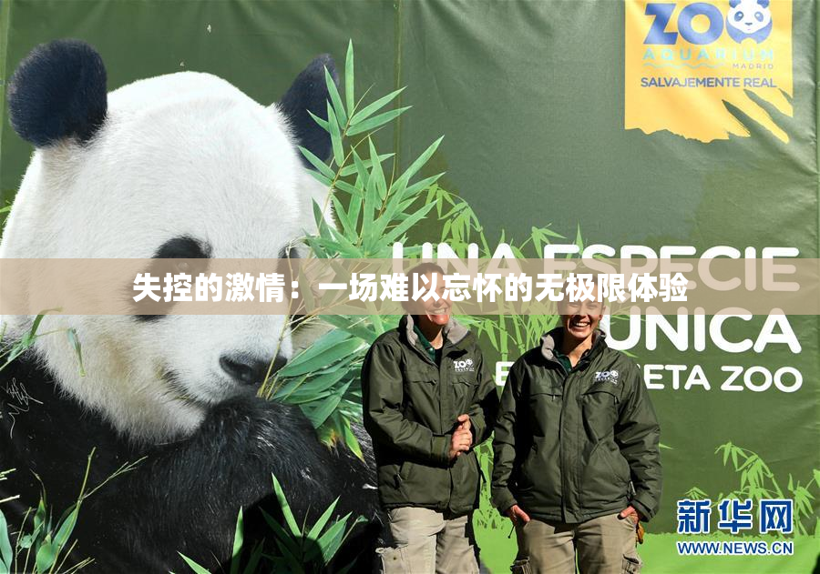 失控的激情：一场难以忘怀的无极限体验