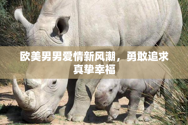 欧美男男爱情新风潮，勇敢追求真挚幸福