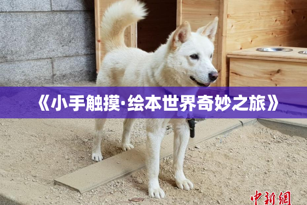 《小手触摸·绘本世界奇妙之旅》