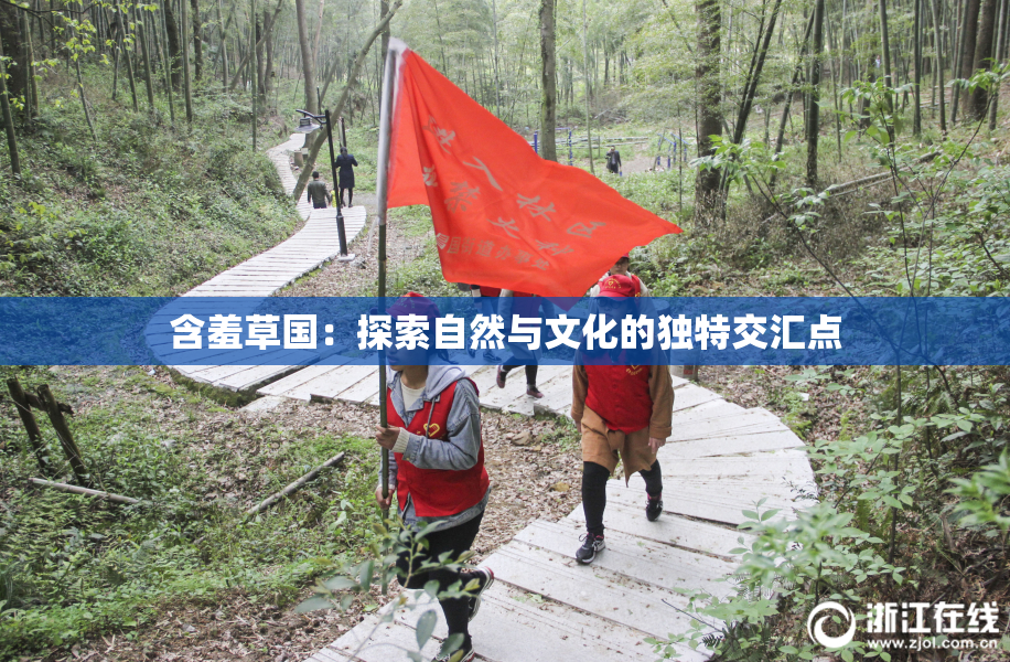 含羞草国：探索自然与文化的独特交汇点