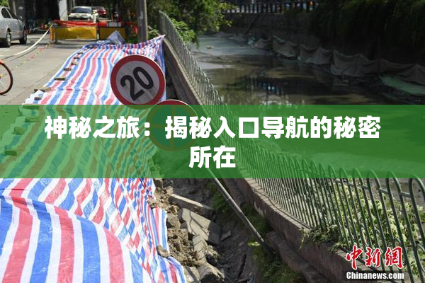 神秘之旅：揭秘入口导航的秘密所在