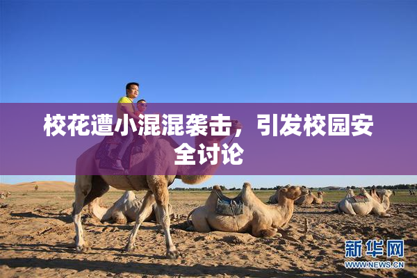 校花遭小混混袭击，引发校园安全讨论