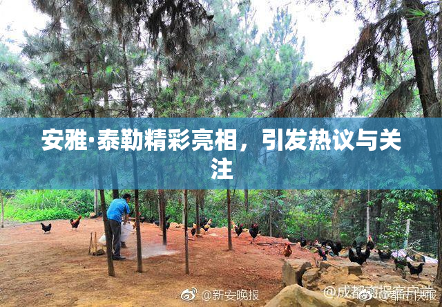 安雅·泰勒精彩亮相，引发热议与关注