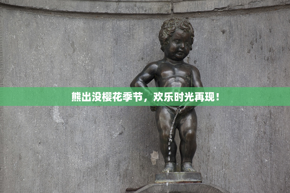 熊出没樱花季节，欢乐时光再现！