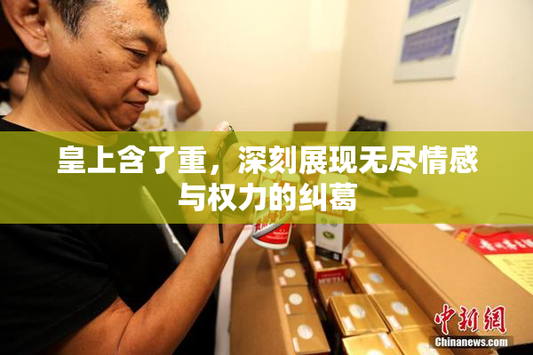 皇上含了重，深刻展现无尽情感与权力的纠葛