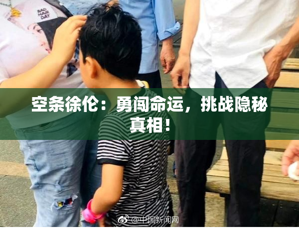 空条徐伦：勇闯命运，挑战隐秘真相！