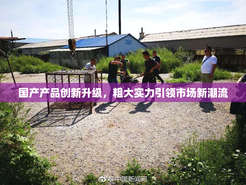 国产产品创新升级，粗大实力引领市场新潮流