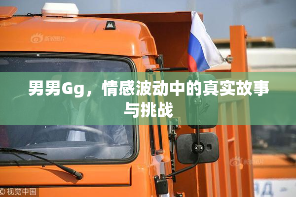 男男Gg，情感波动中的真实故事与挑战