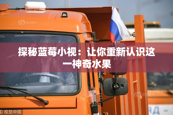 探秘蓝莓小视：让你重新认识这一神奇水果