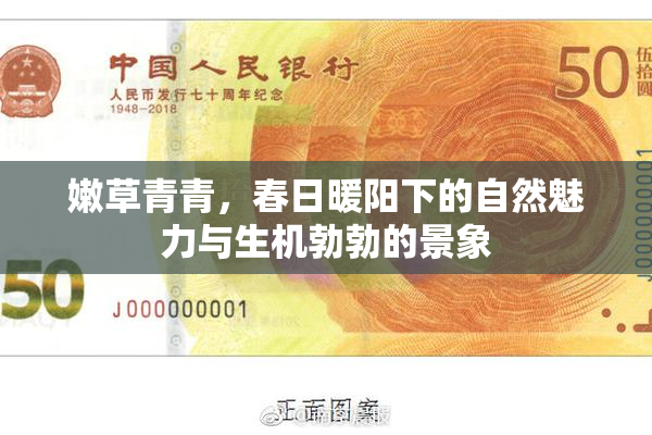 嫩草青青，春日暖阳下的自然魅力与生机勃勃的景象