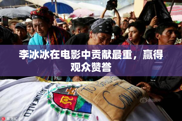 李冰冰在电影中贡献最重，赢得观众赞誉