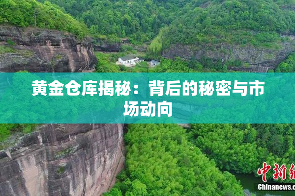 黄金仓库揭秘：背后的秘密与市场动向