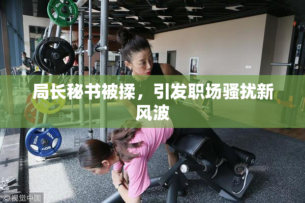 局长秘书被揉，引发职场骚扰新风波