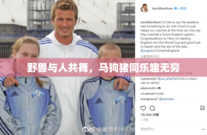 野兽与人共舞，马狗猪同乐趣无穷