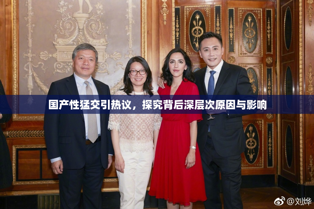 国产性猛交引热议，探究背后深层次原因与影响
